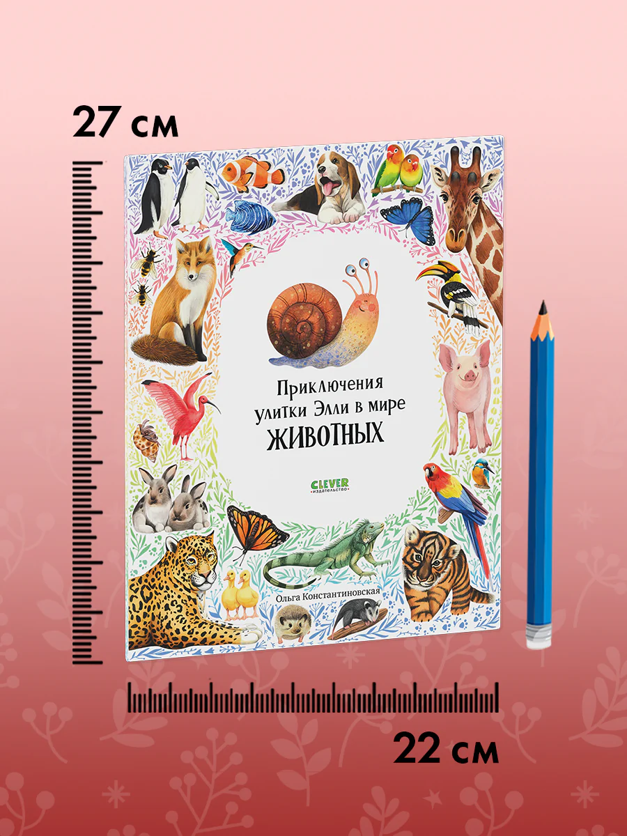 תמונה ממוזערת 7