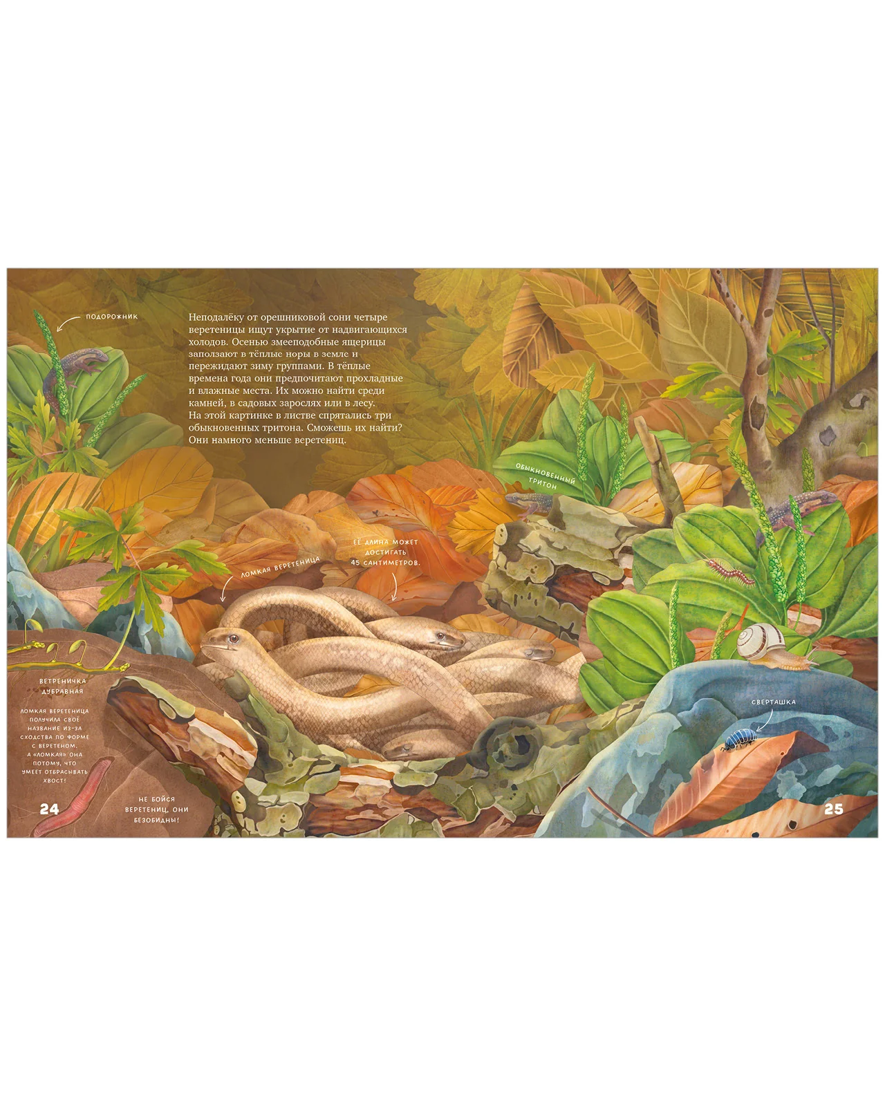 תמונה ממוזערת 11