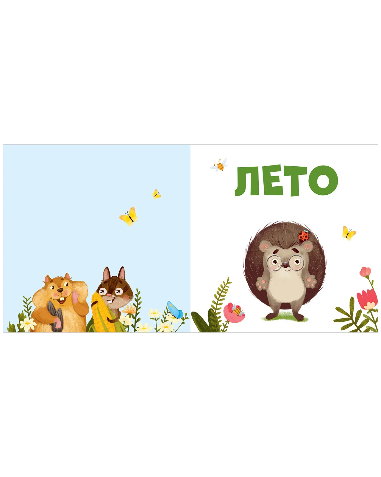 תמונה ממוזערת 6