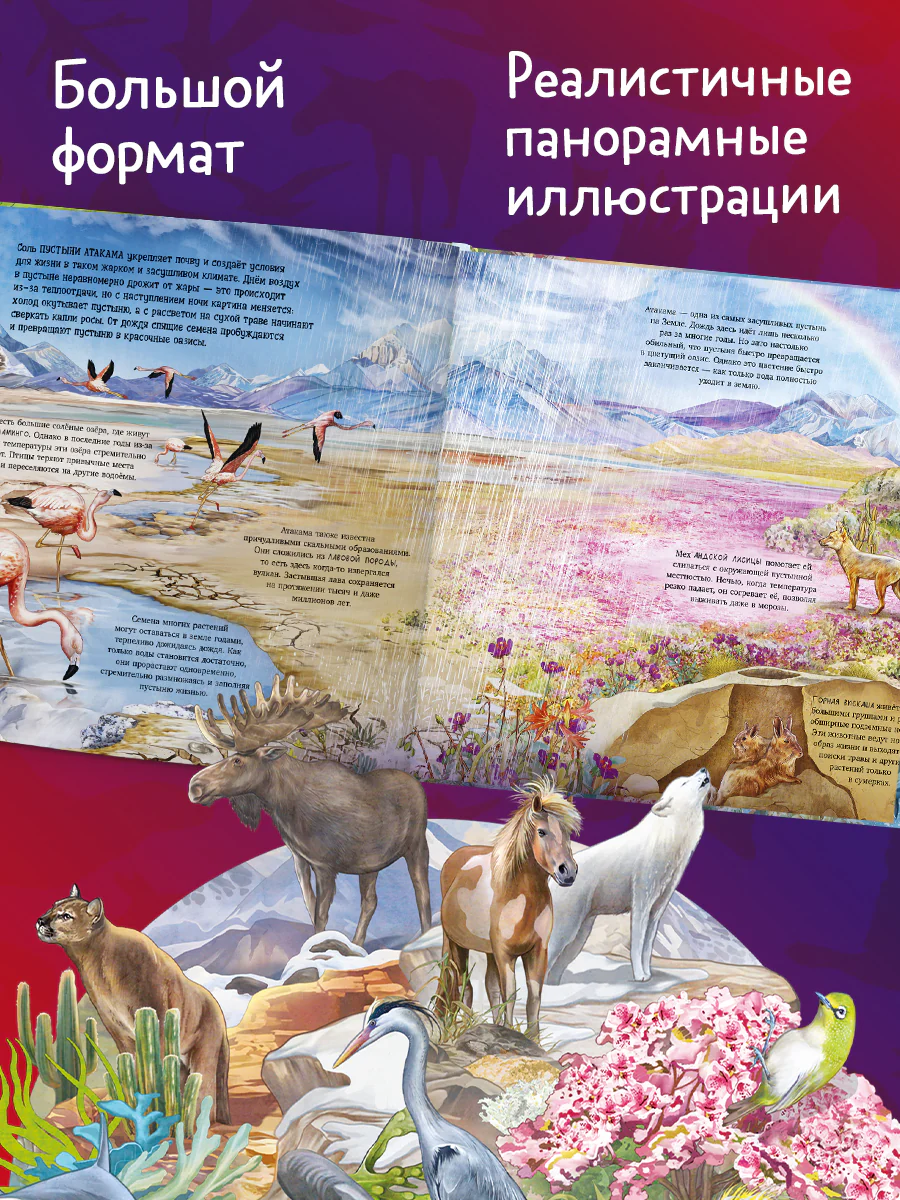 תמונה ממוזערת 4