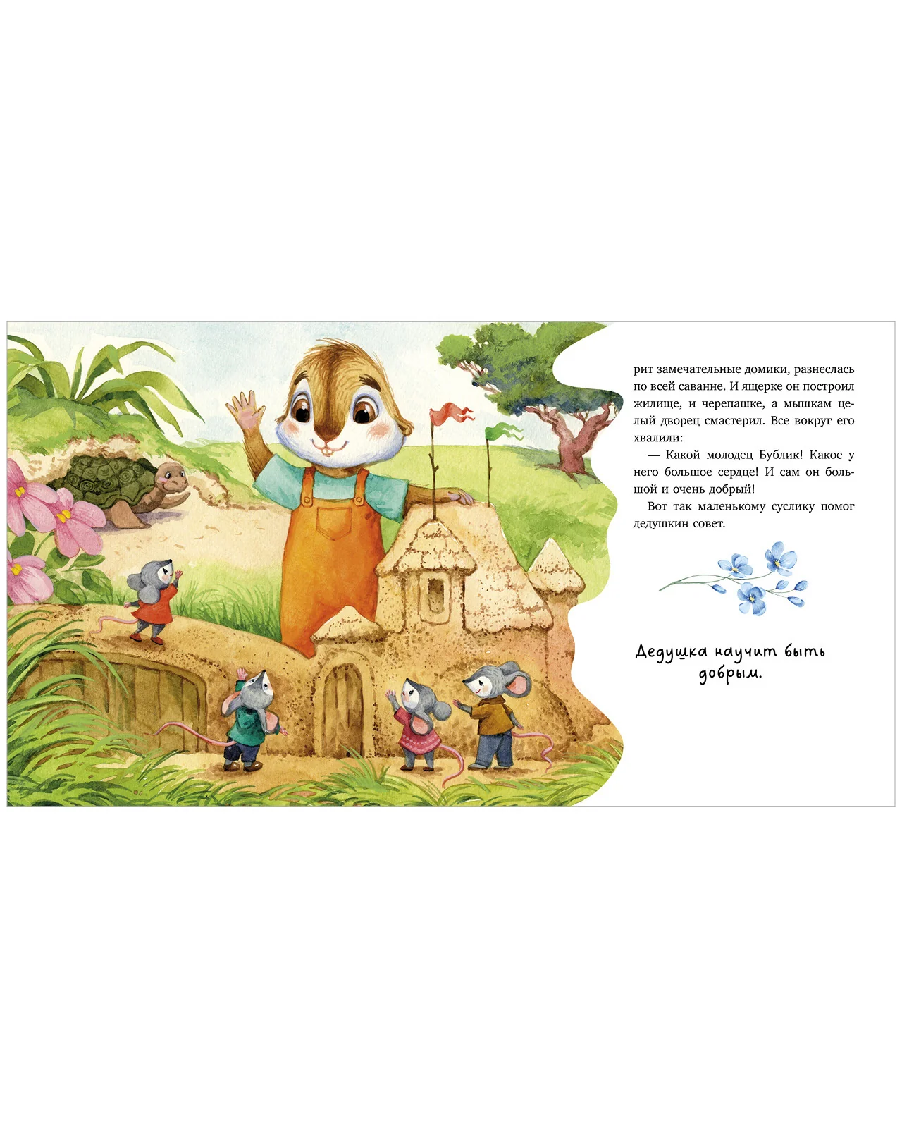 תמונה ממוזערת 12