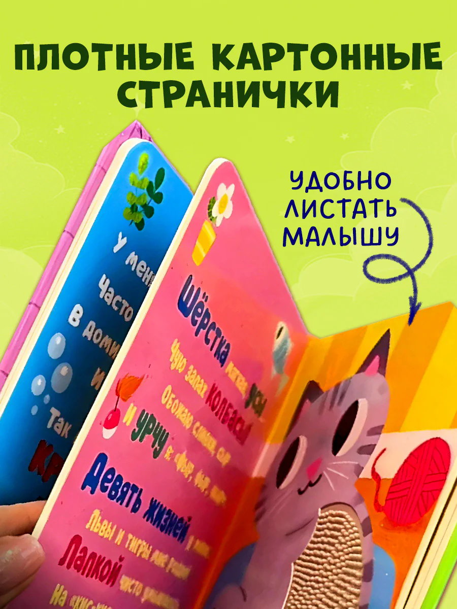 תמונה ממוזערת 6