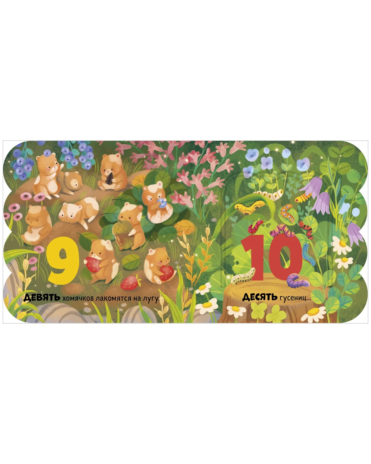 תמונה ממוזערת 12