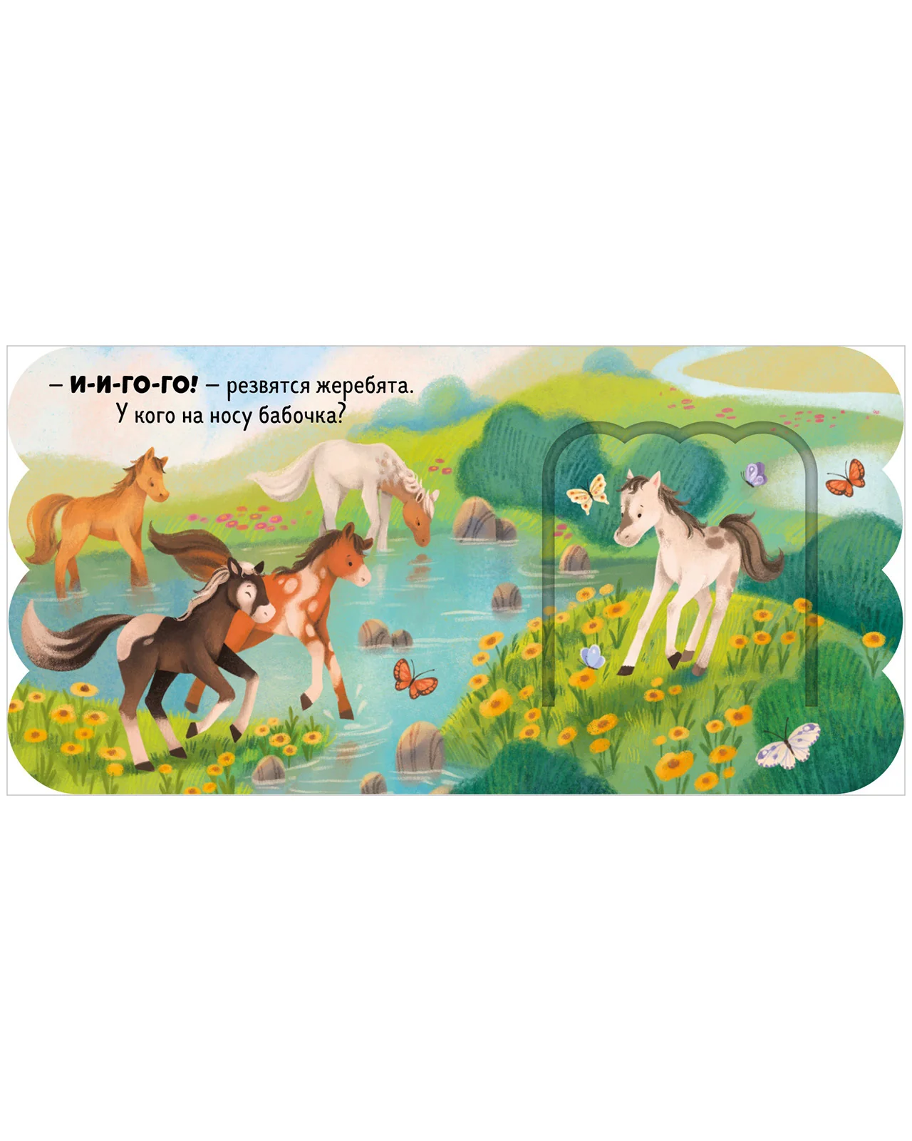 תמונה ממוזערת 16