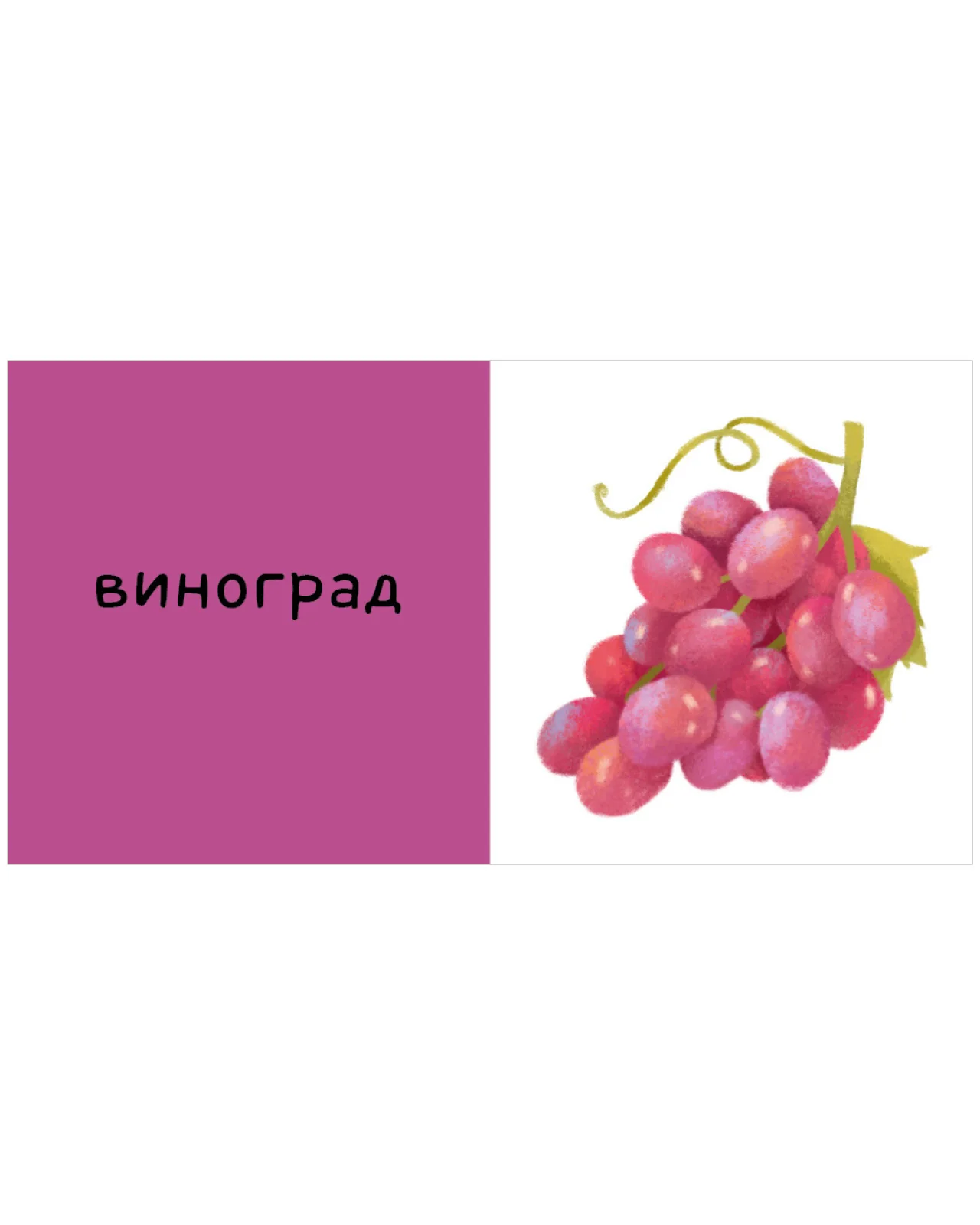 תמונה ממוזערת 18