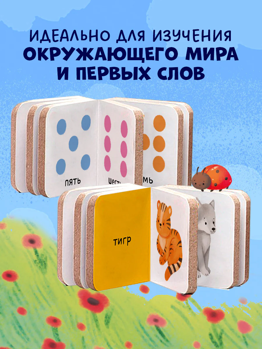 תמונה ממוזערת 5