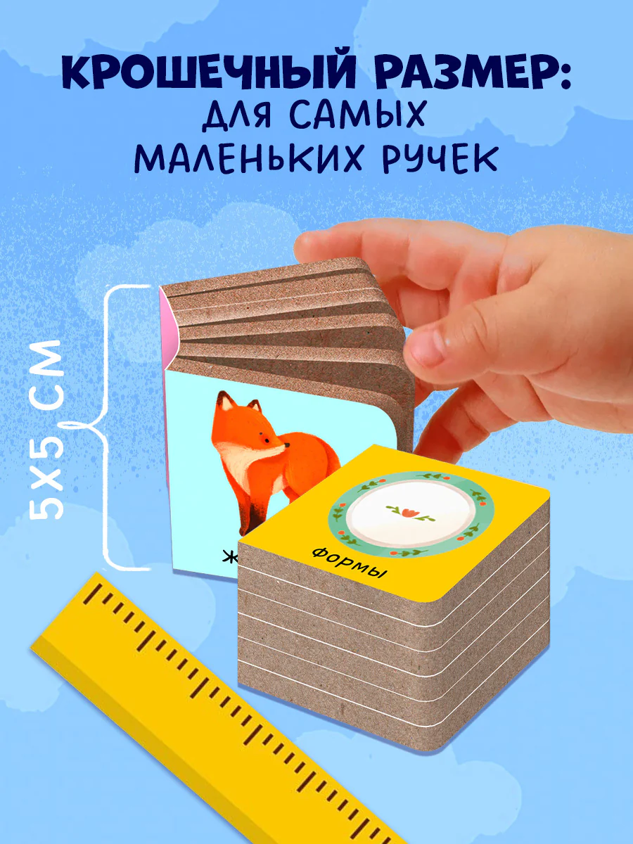 תמונה ממוזערת 6