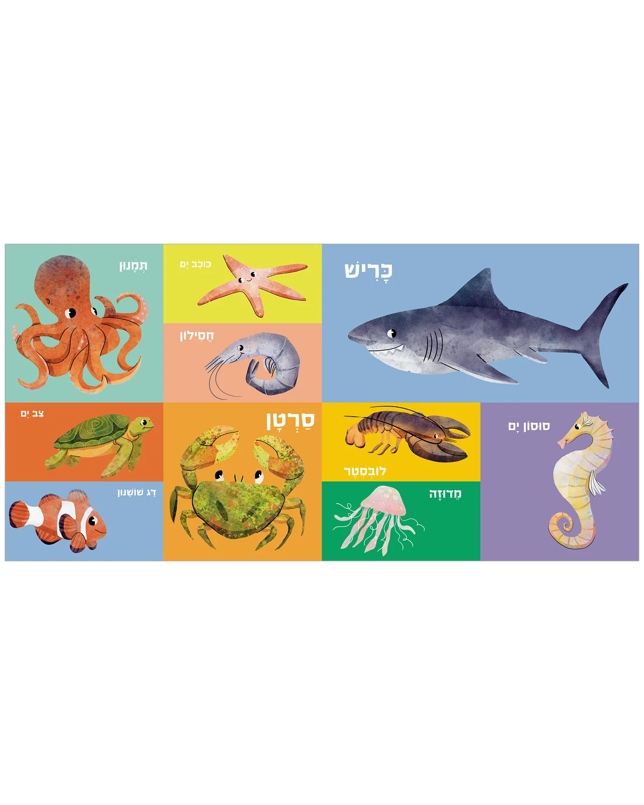 תמונה ממוזערת 6