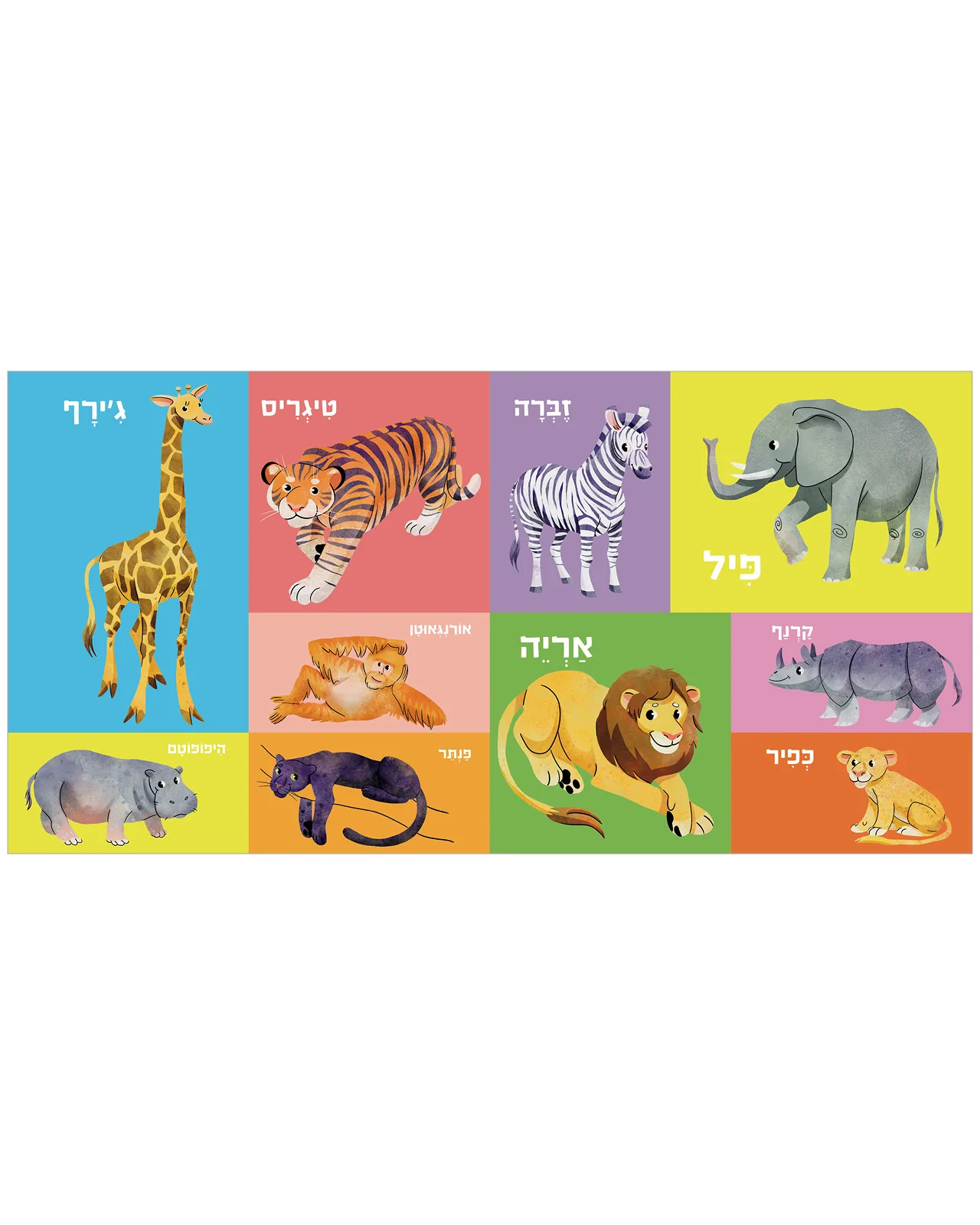 תמונה ממוזערת 7