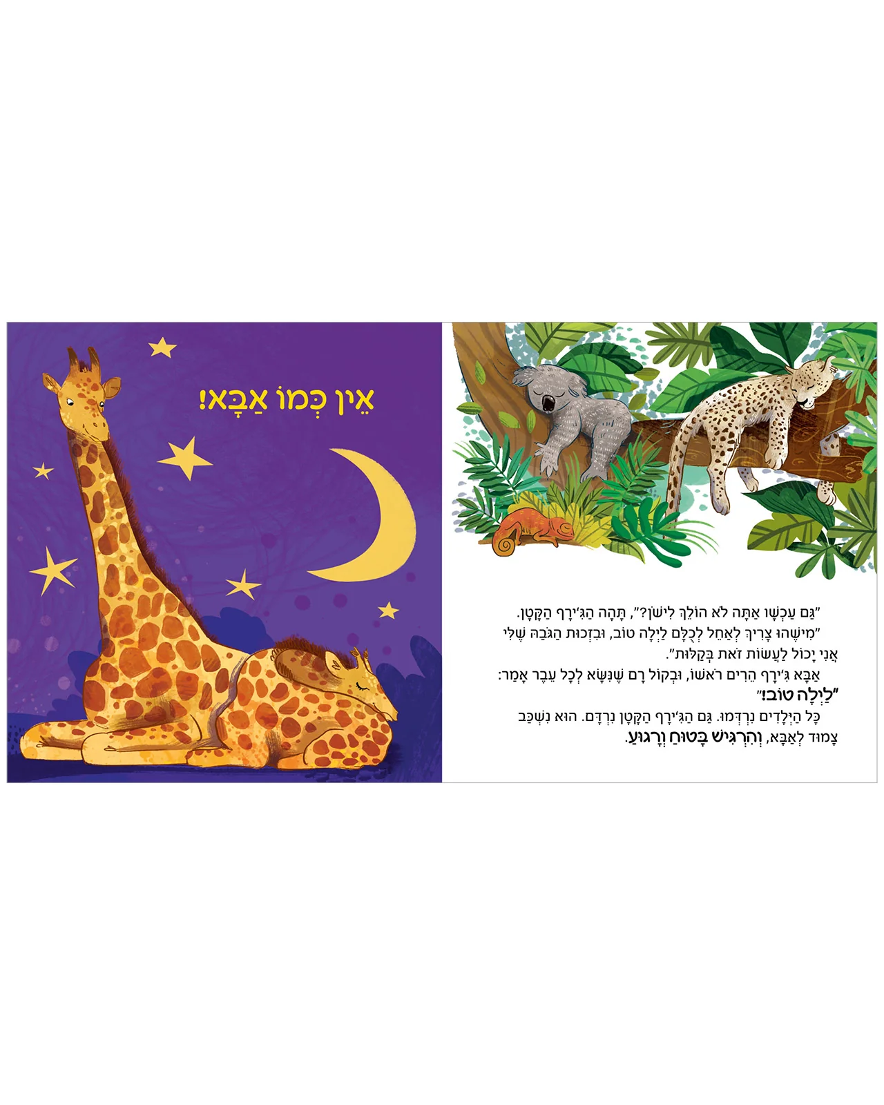 תמונה ממוזערת 3