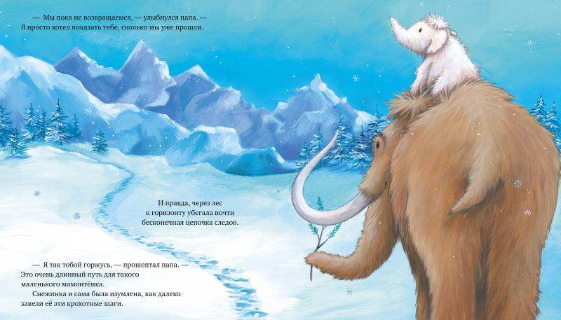 תמונה ממוזערת 17