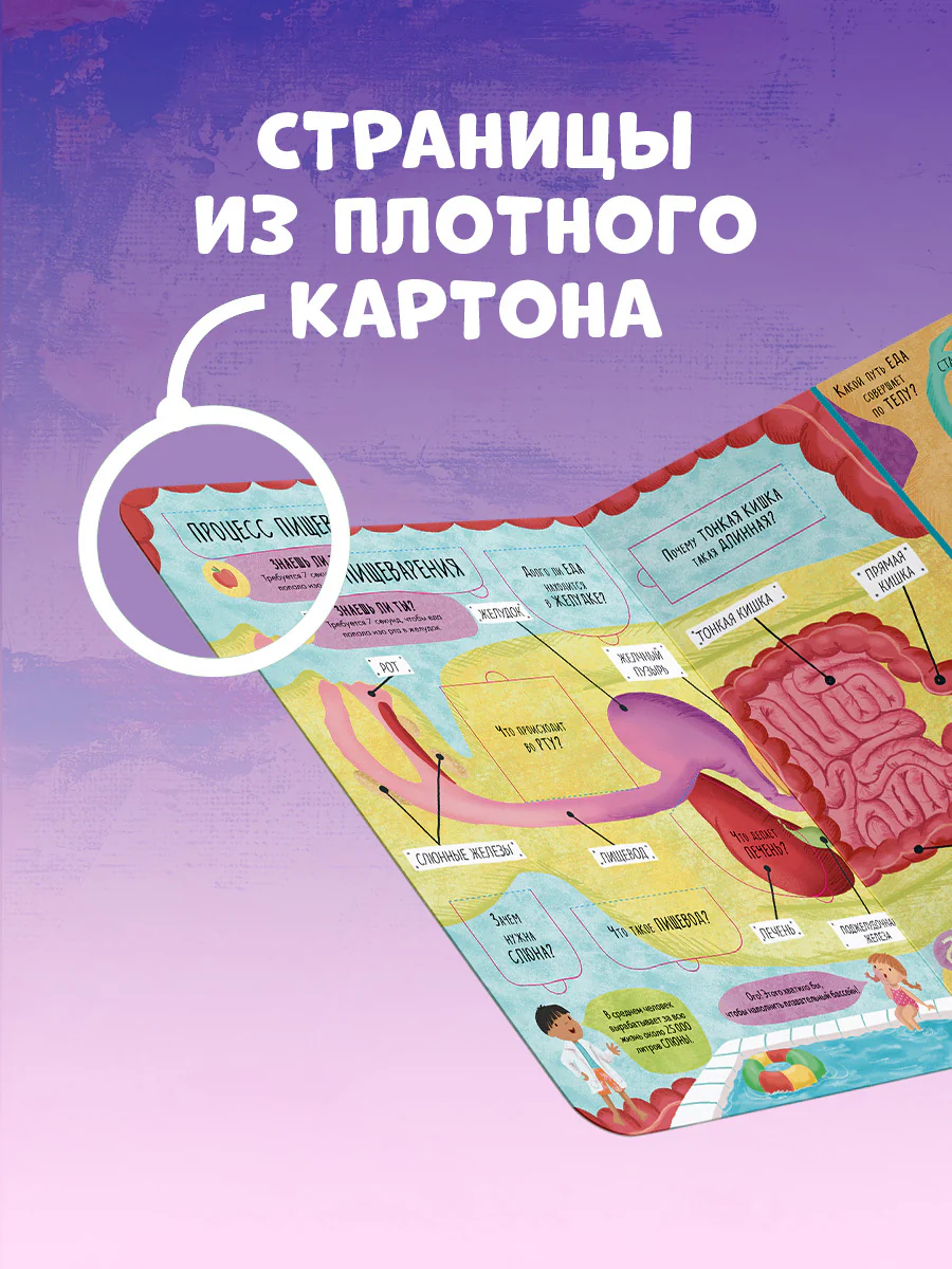 תמונה ממוזערת 7