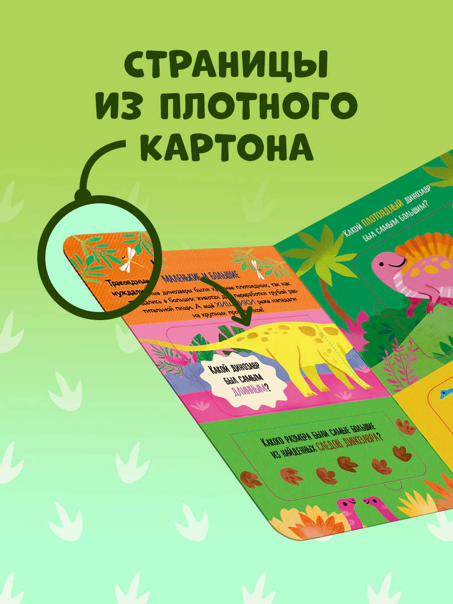 תמונה ממוזערת 6