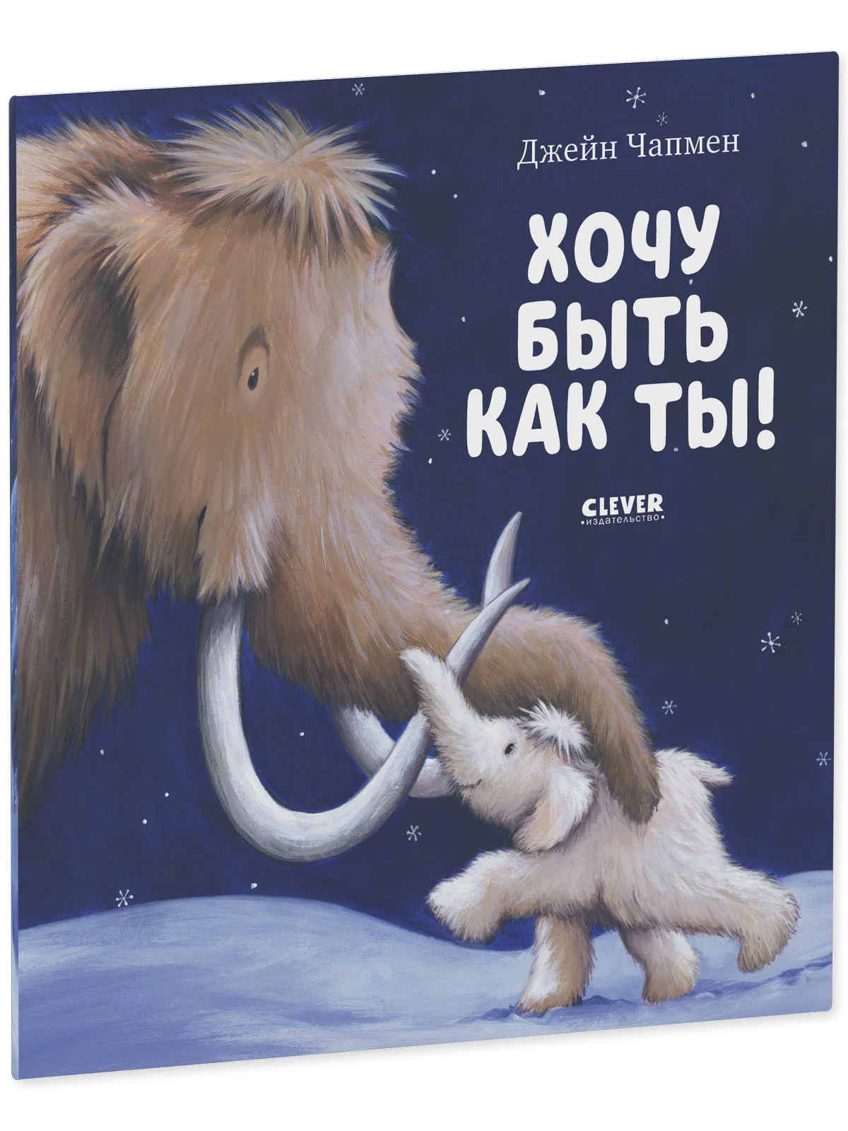 תמונה ממוזערת 21
