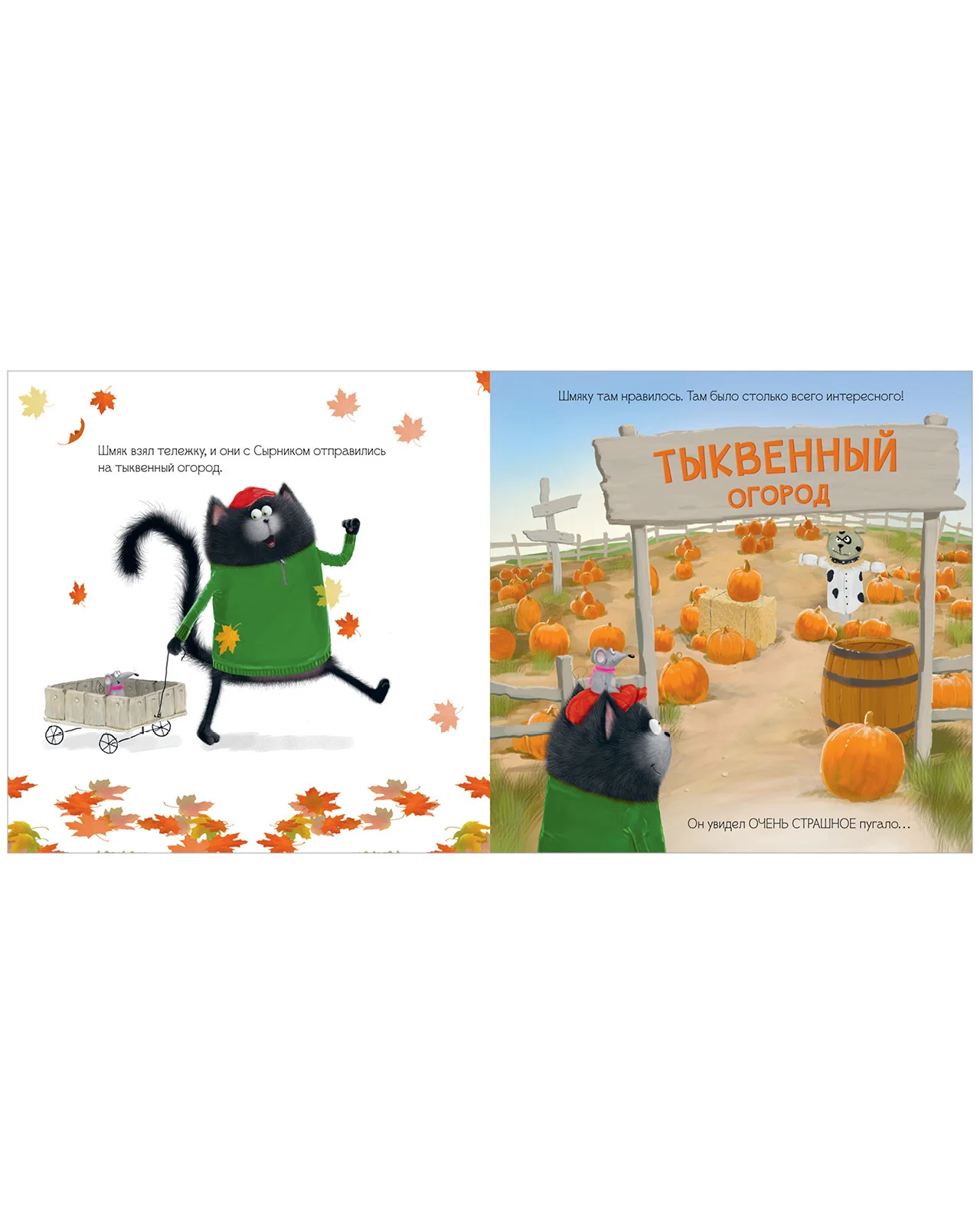 תמונה ממוזערת 12