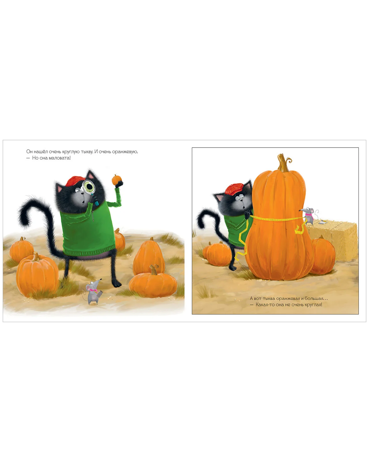 תמונה ממוזערת 14
