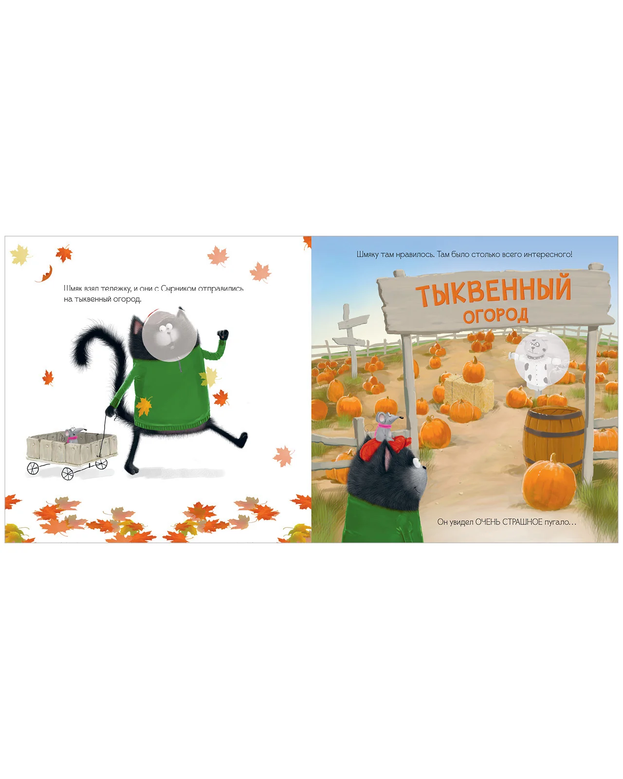 תמונה ממוזערת 6