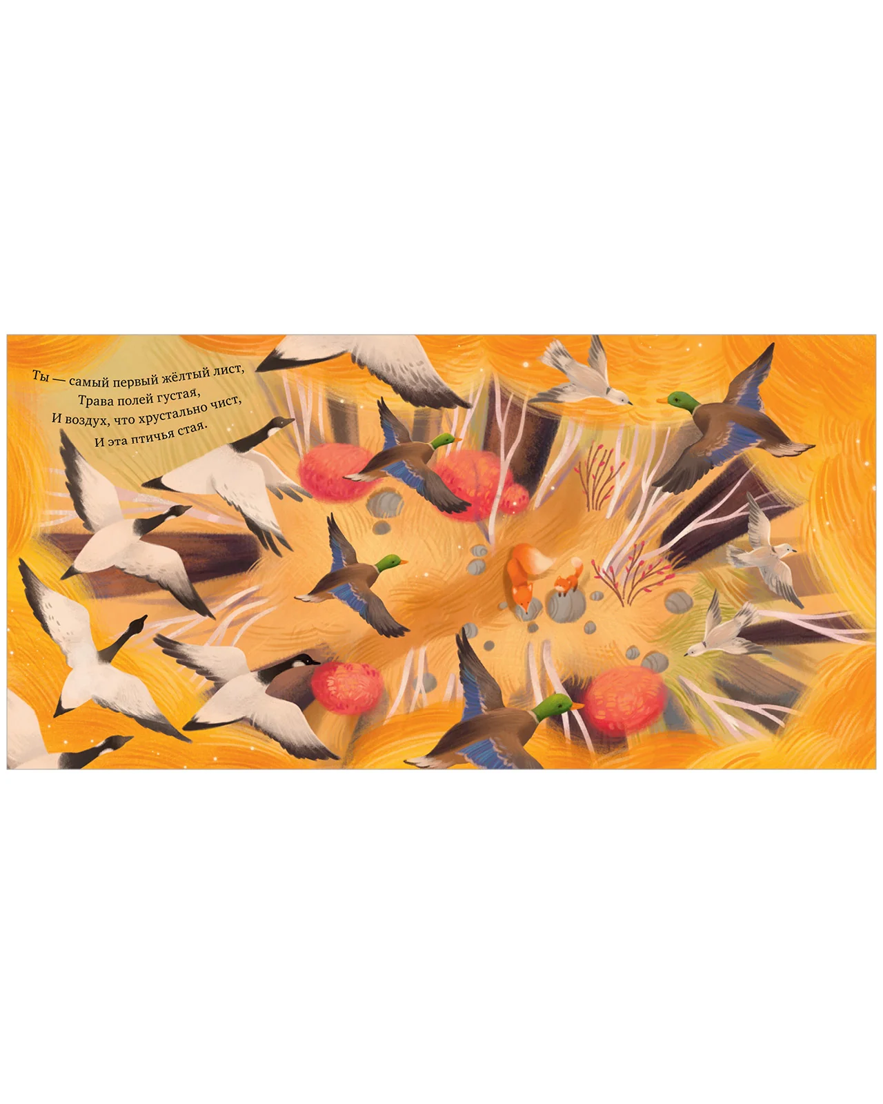 תמונה ממוזערת 8