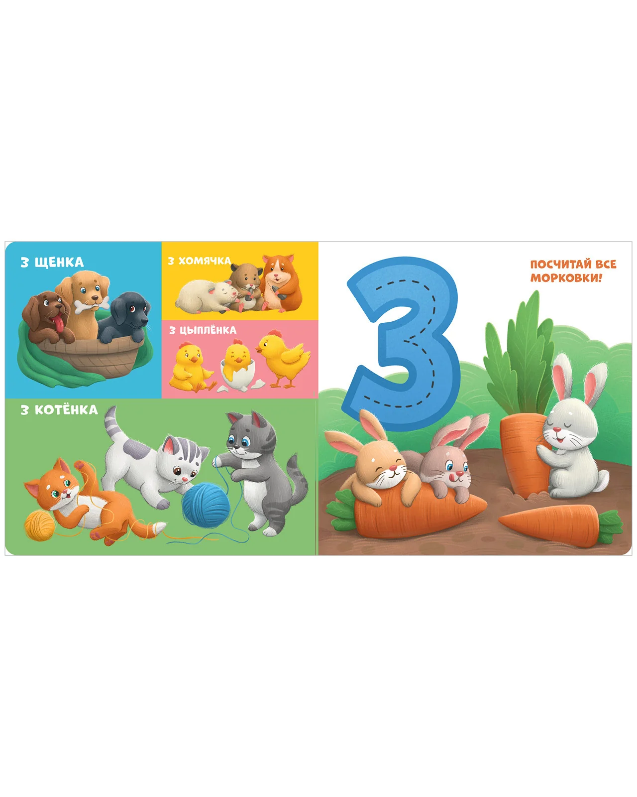 תמונה ממוזערת 12