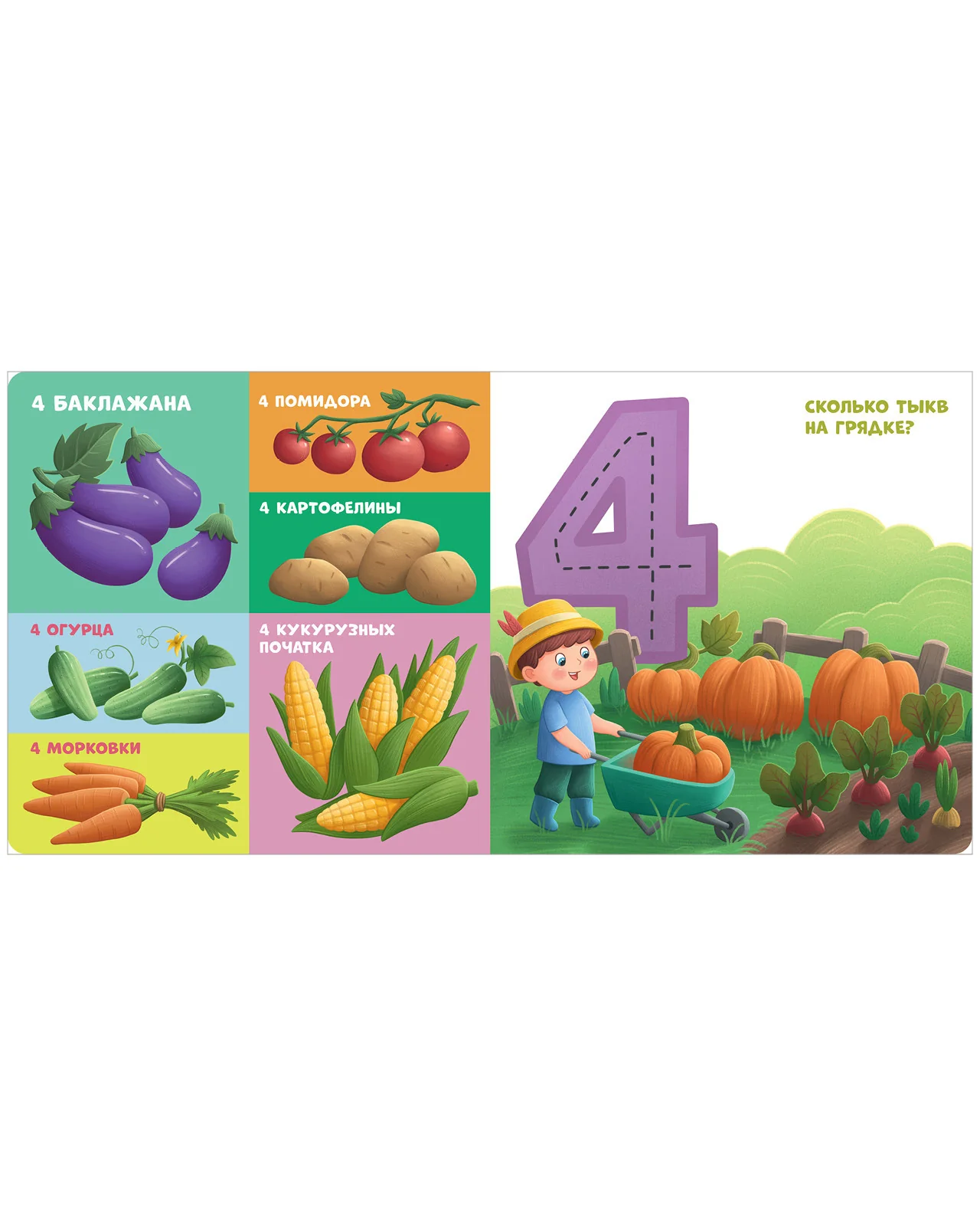 תמונה ממוזערת 13