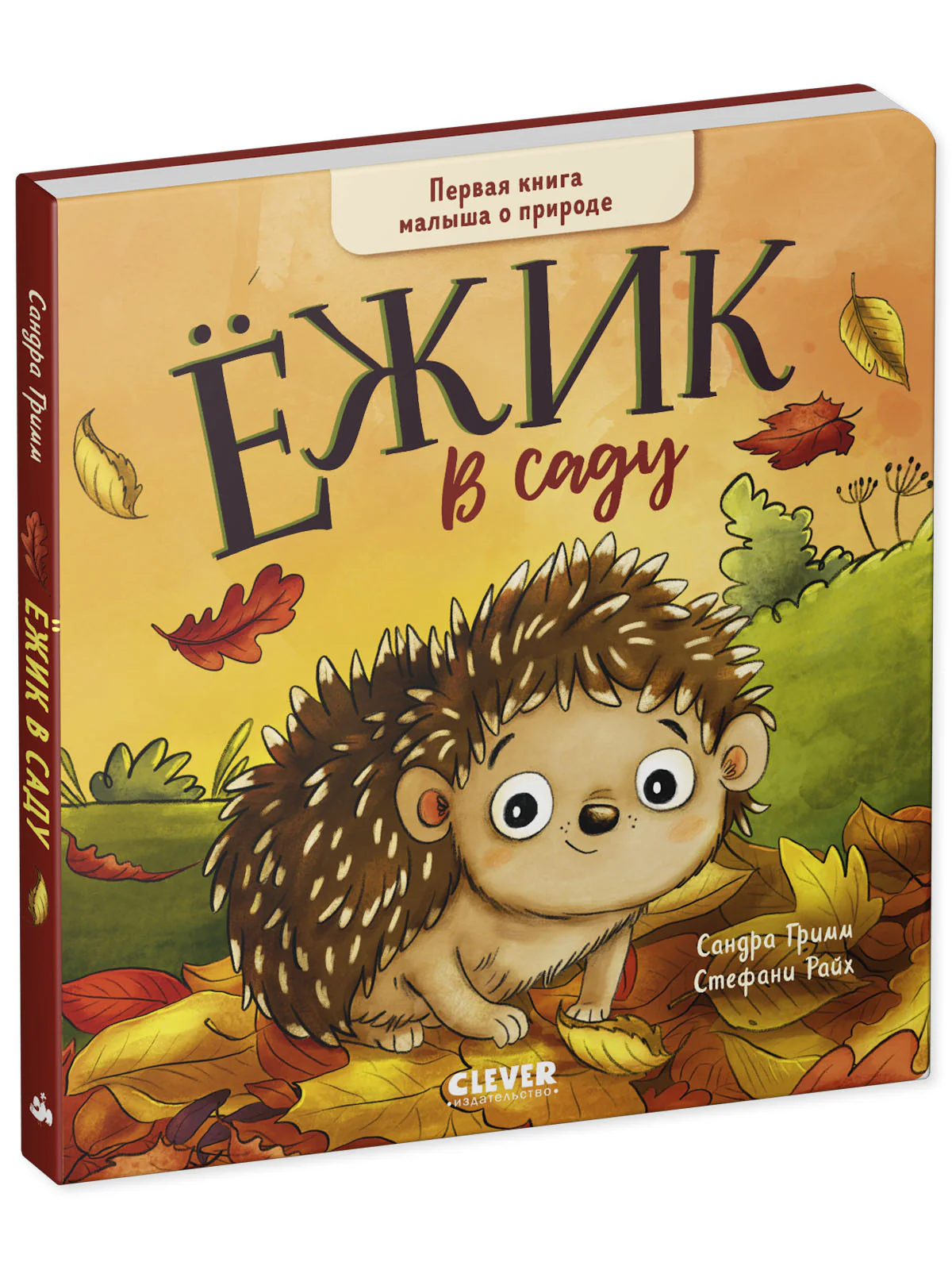 תמונה ממוזערת 10