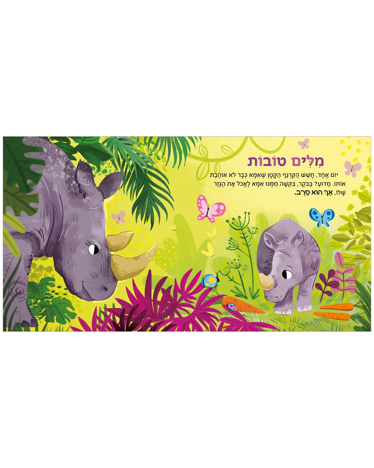 תמונה ממוזערת 4