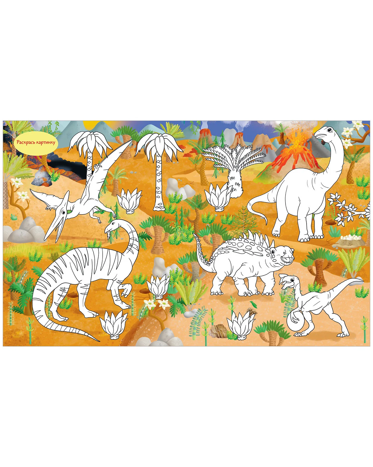 תמונה ממוזערת 7