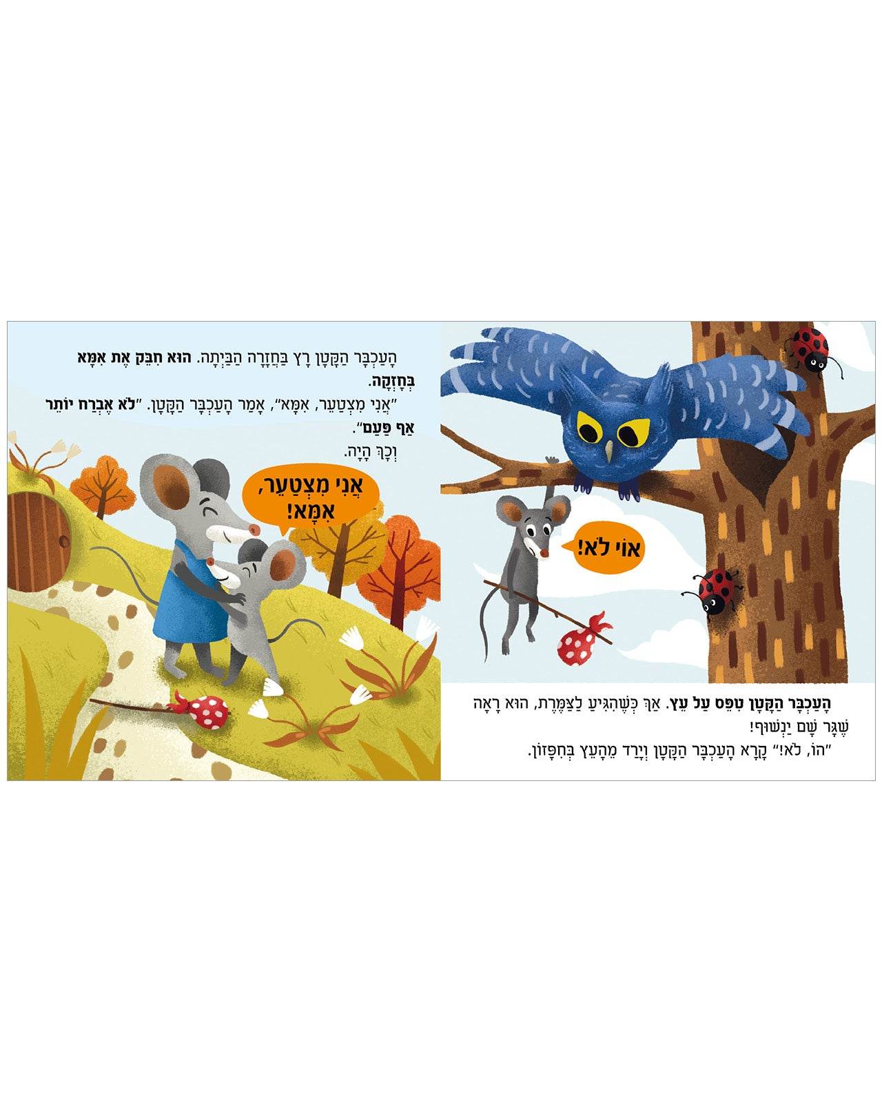 תמונה ממוזערת 4