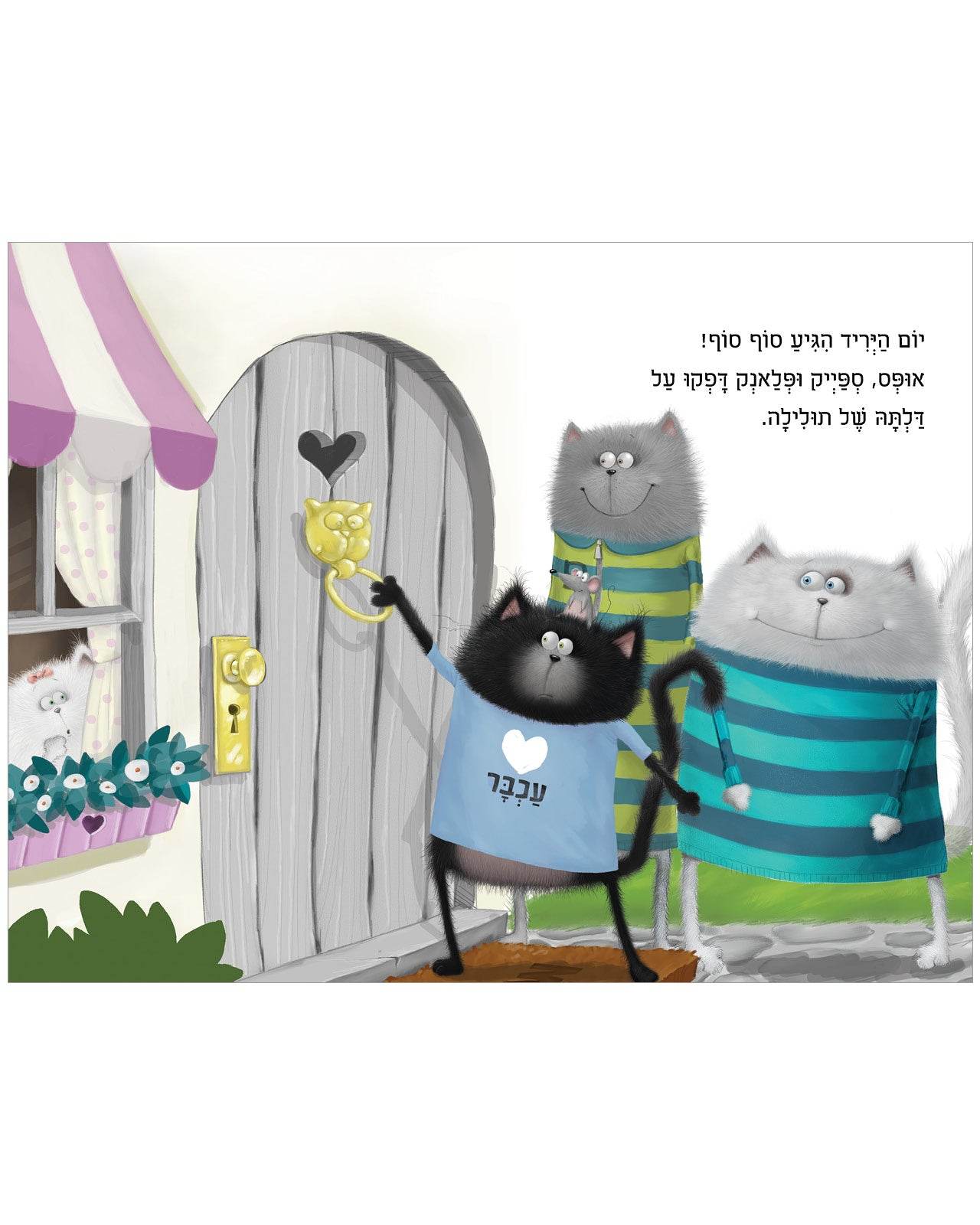 תמונה ממוזערת 3