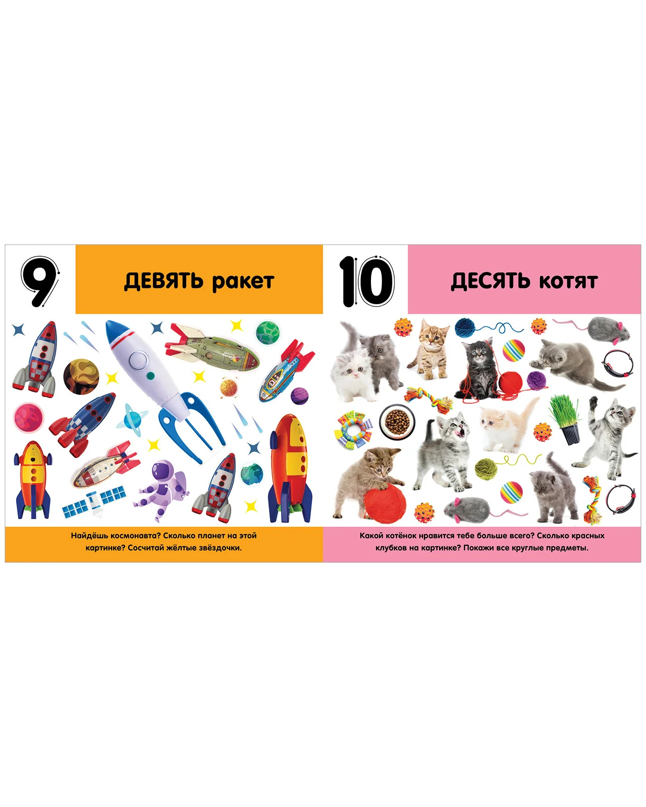 תמונה ממוזערת 7
