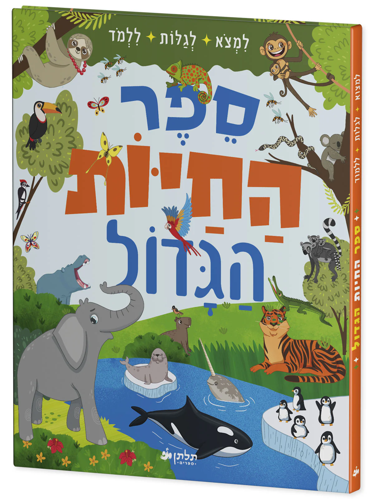 תמונה ממוזערת 2