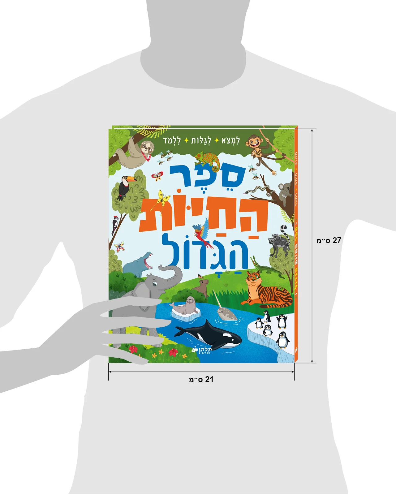 תמונה ממוזערת 8