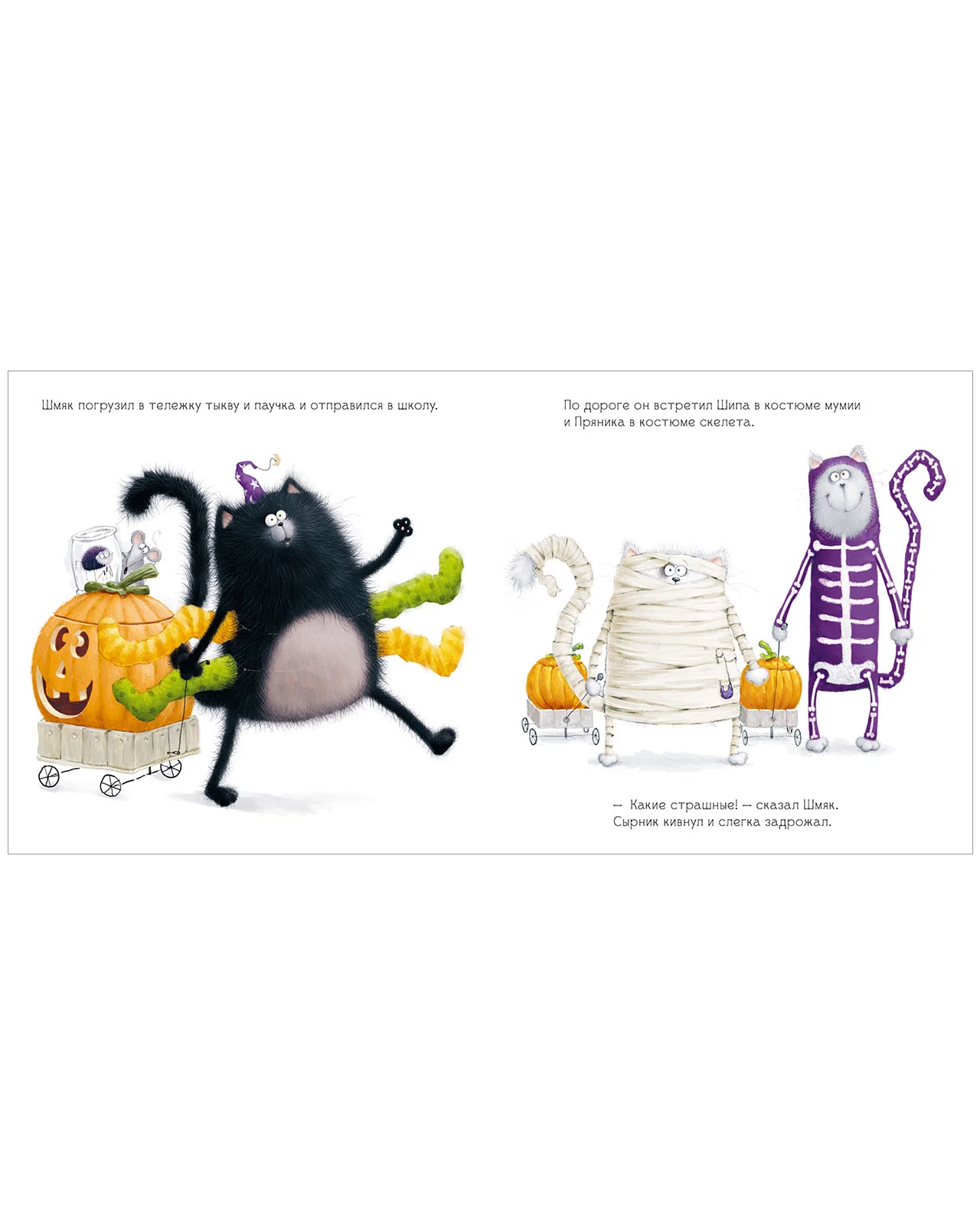 תמונה ממוזערת 26