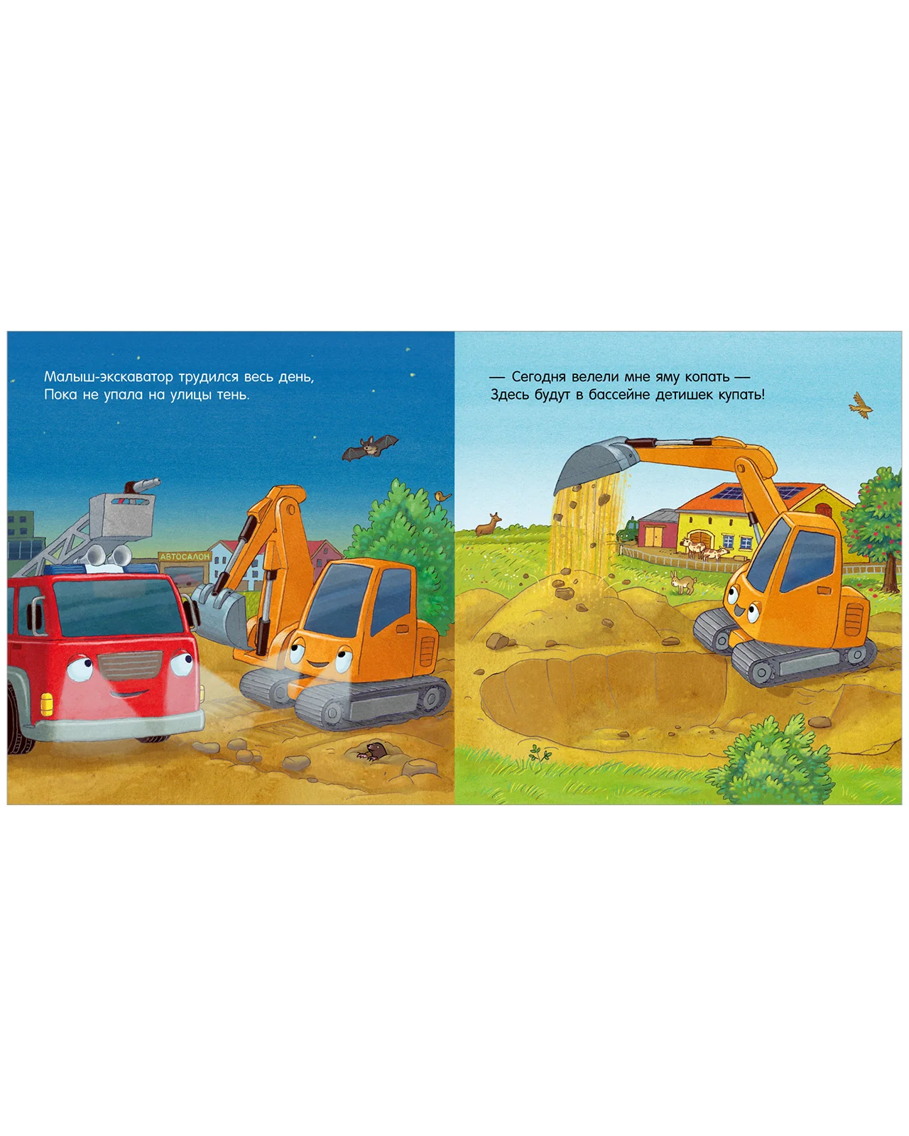 תמונה ממוזערת 13
