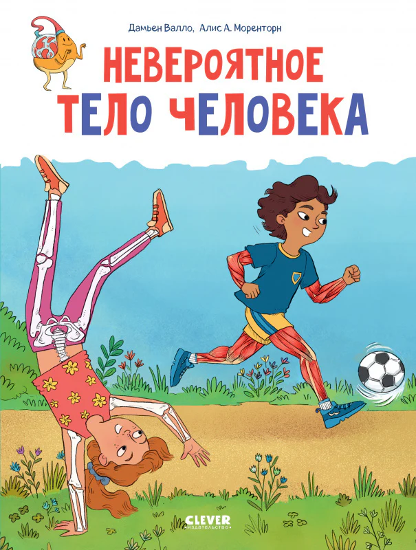 תמונה ממוזערת 10
