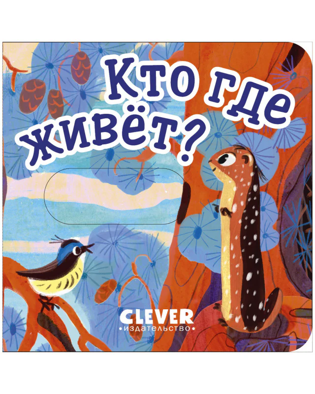 תמונה ממוזערת 10
